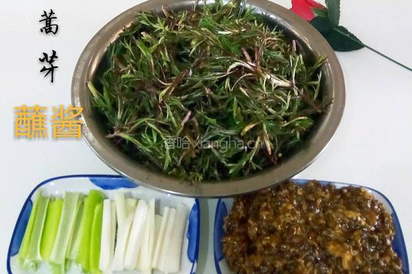 柳蒿芽蘸酱的做法图解11