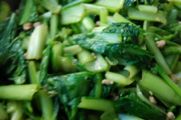肉末粉丝小白莱的做法图解12