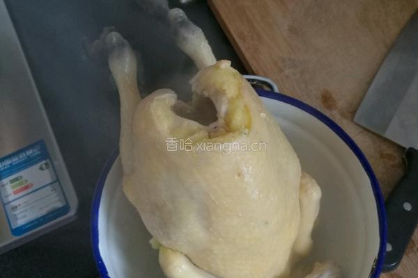 白斩鸡的做法图解5