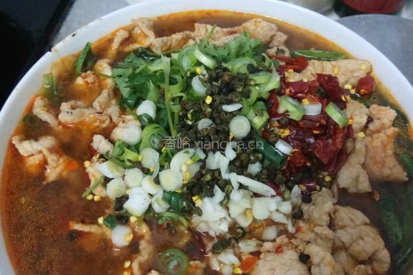 家常水煮肉片的做法图解15