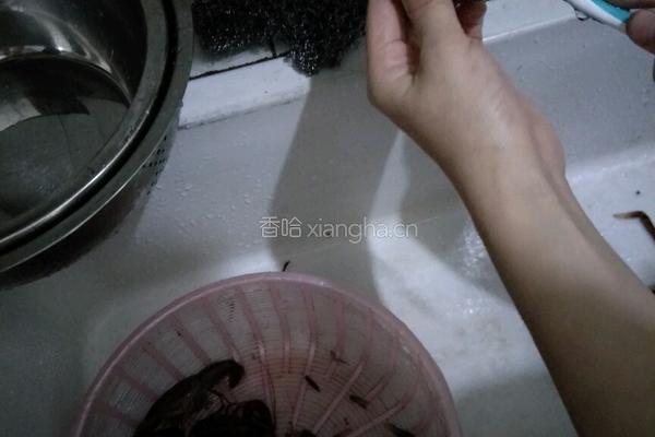 鲜香麻辣小龙虾哟的做法图解1