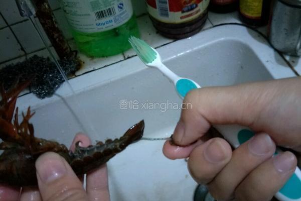 鲜香麻辣小龙虾哟的做法图解2