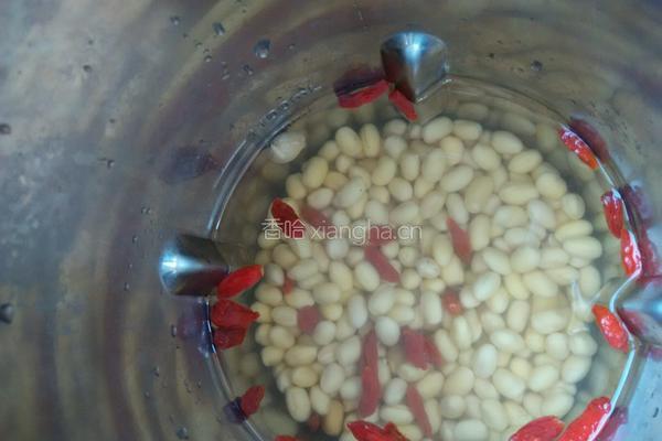 黄豆枸杞花生豆浆的做法图解4