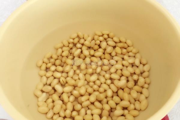 豆浆的做法图解3