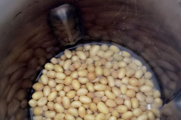 豆浆的做法图解4