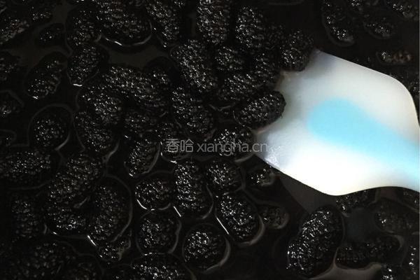 桑葚果酱的做法图解13