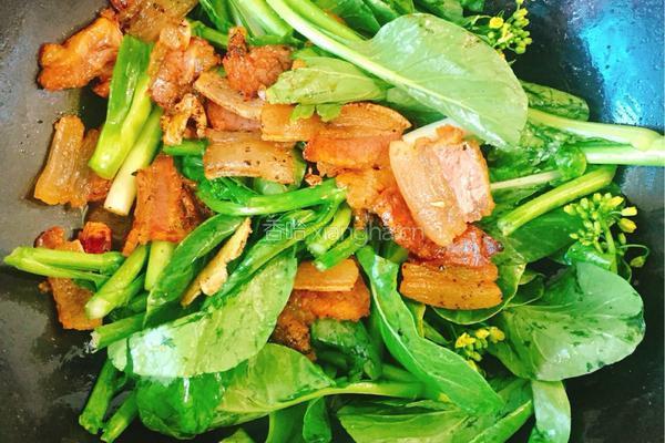 腊肉炒菜苔的做法图解8