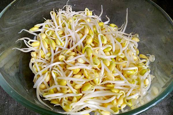黄豆芽炒肉丝的做法图解3