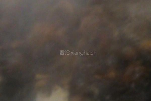 十三香鸭边腿的做法图解9
