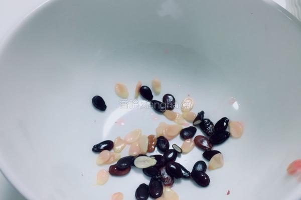 西瓜冰沙的做法图解2