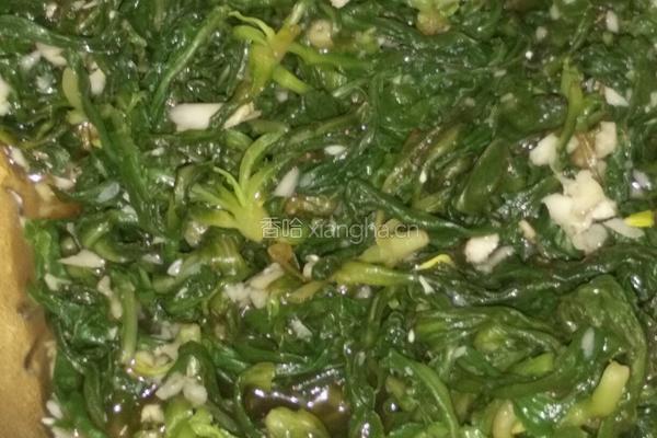 凉拌苦苦菜的做法图解4