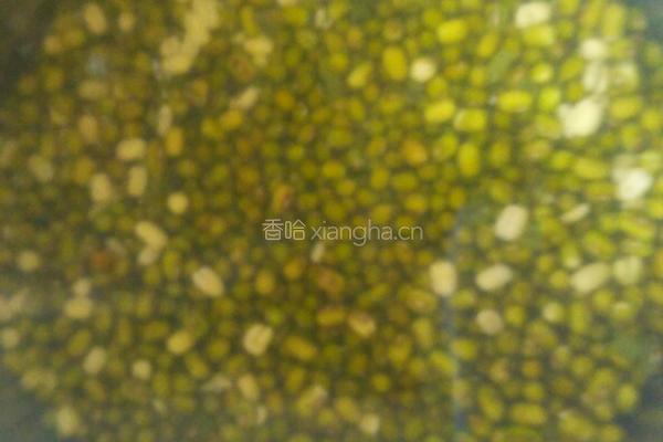 带皮绿豆馅的做法图解1