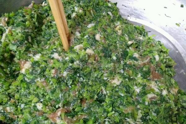 猪肉青菜馅饺子的做法图解4