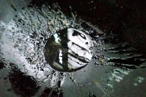 胡萝卜炒粉丝的做法图解5