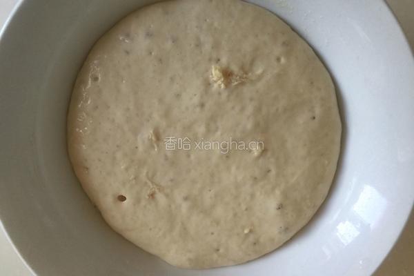 波兰种吐司的做法图解3