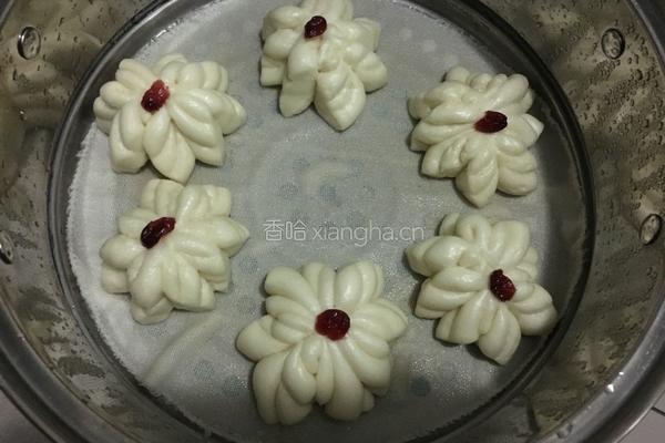 牛奶菊花馒头的做法图解19