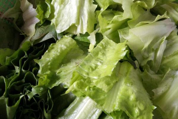 素炒油麦菜的做法图解1