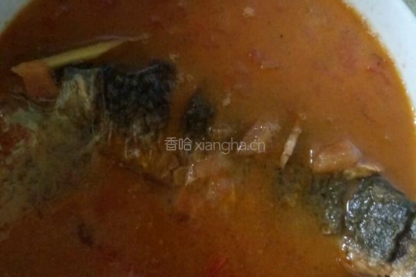西红柿鲫鱼汤的做法图解9