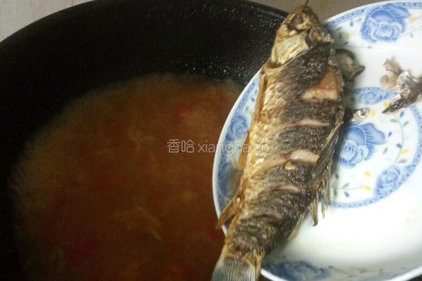 西红柿鲫鱼汤的做法图解8