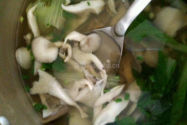 白菜蘑菇汤的做法图解7