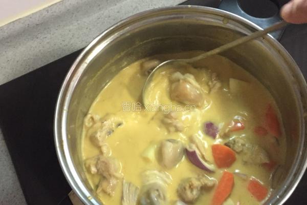 泰式黄咖喱鸡饭的做法图解5