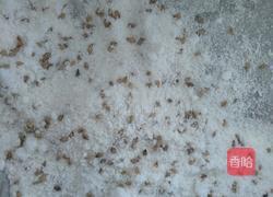酥饼的做法图解8