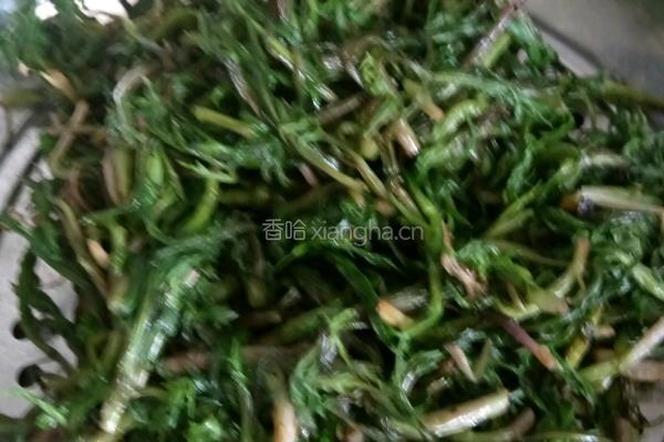 野蒿子炒蛋的做法图解2