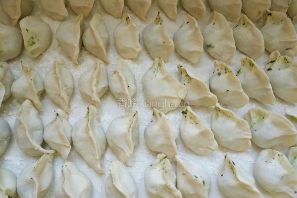 苦苦菜大肉饺的做法图解6
