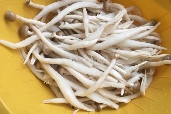 腐竹烧蟹味菇的做法图解7