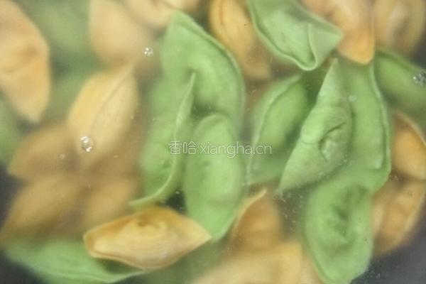 蔬菜汁饺子的做法图解15