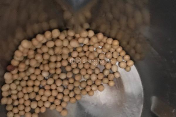 红枣豆浆的做法图解1