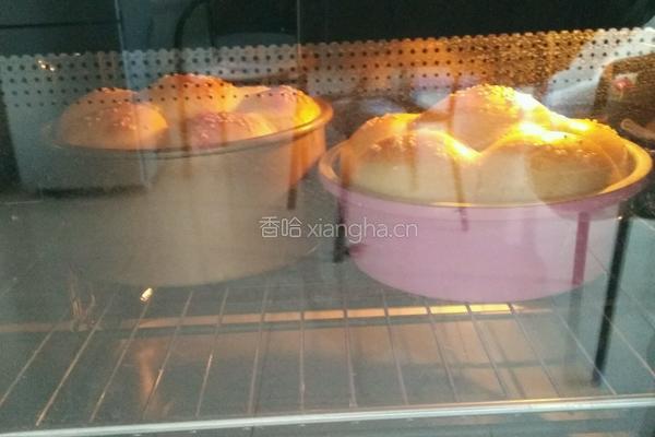 原味面包的做法图解8
