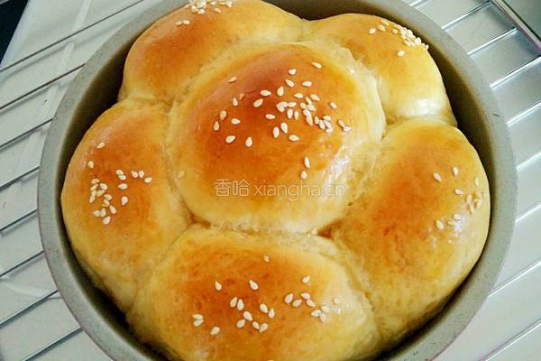 原味面包的做法图解12