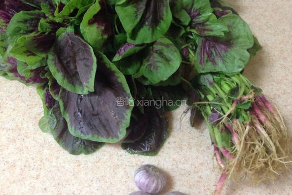 蒜香红苋菜的做法图解1