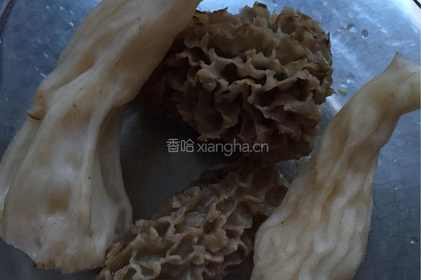 筒骨羊肚菌汤的做法图解3