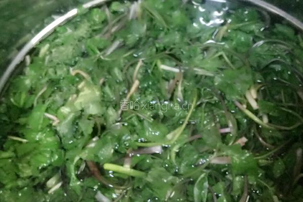 大叶芹蒸饺的做法图解2
