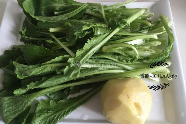 小白菜炖土豆的做法图解1