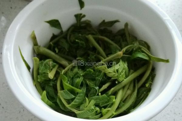 爆腌香椿的做法图解4