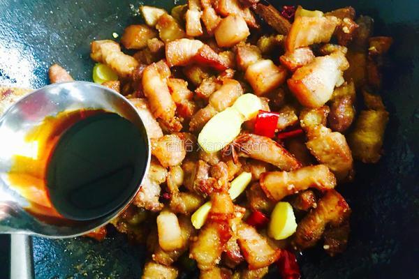 家常红烧肉的做法图解15