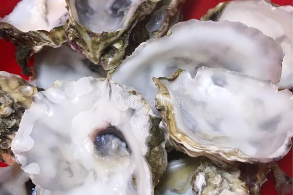 粉丝蒸生蚝的做法图解5