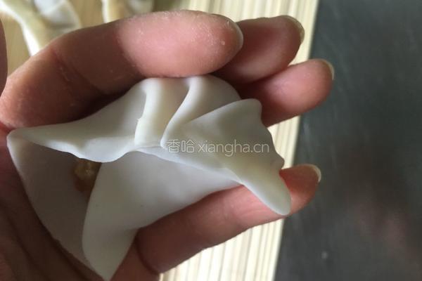 月牙饺子的包法的做法图解5