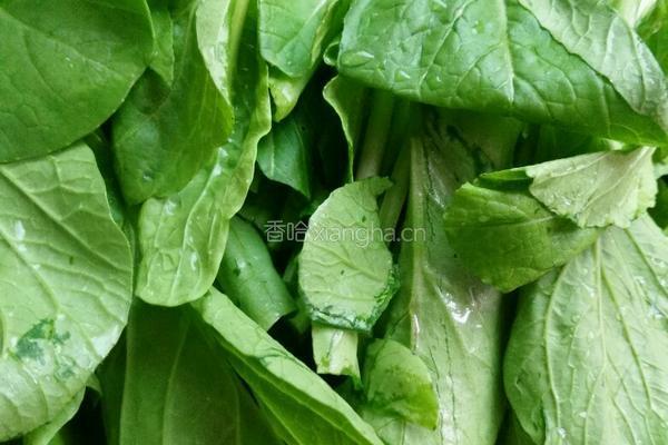 青菜洋葱炒鸡蛋的做法图解1