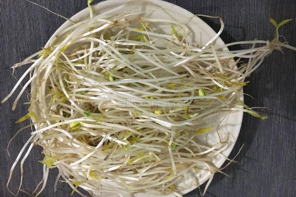 杂锦炒米粉的做法图解7