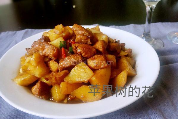 土豆炖鸡块的做法图解13