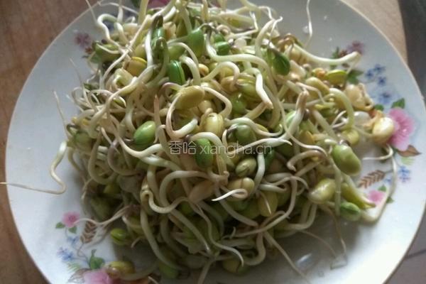 炒肉丝黄豆芽的做法图解1