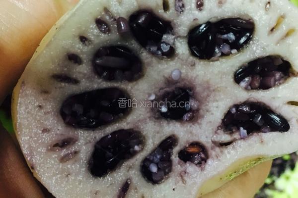 蜜汁黑米糯米藕的做法图解5