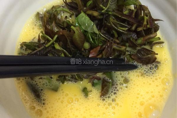 香椿摊鸡蛋的做法图解5