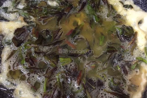 香椿摊鸡蛋的做法图解8