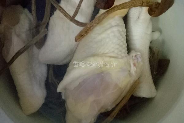 茶树菇鸡汤的做法图解3