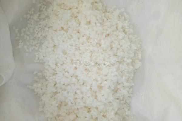 自制酒酿的做法图解2